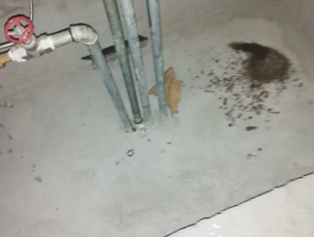 太谷卫生间测漏水价格明细