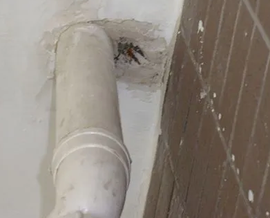 太谷漏水检测哪家好